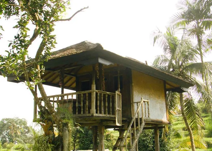 Gasthof Mesari *